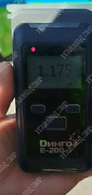 ������ �� ���� ����������������