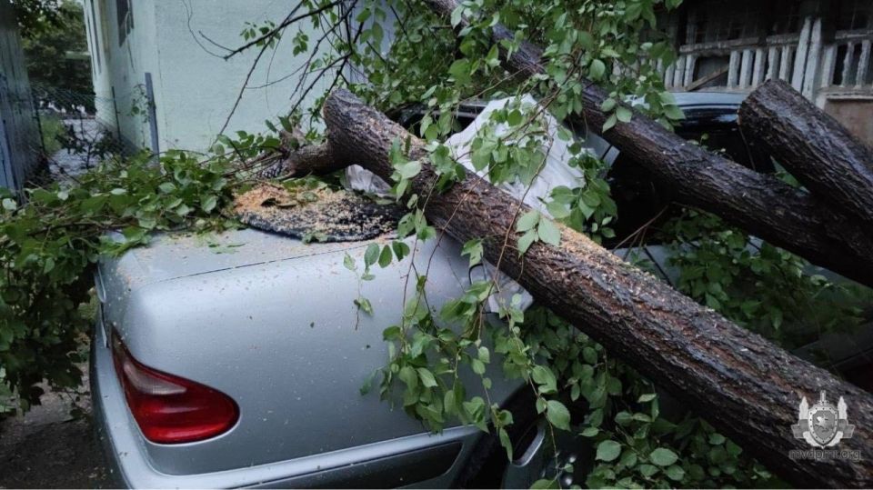 ����� �� ����� ����� ������ ����� �� �������������� ���������� � ������ ������ �� ����� ����������� �� ��������