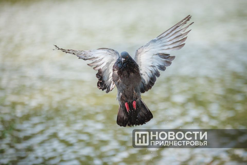 �� ��������� ������ ����� ����� ������