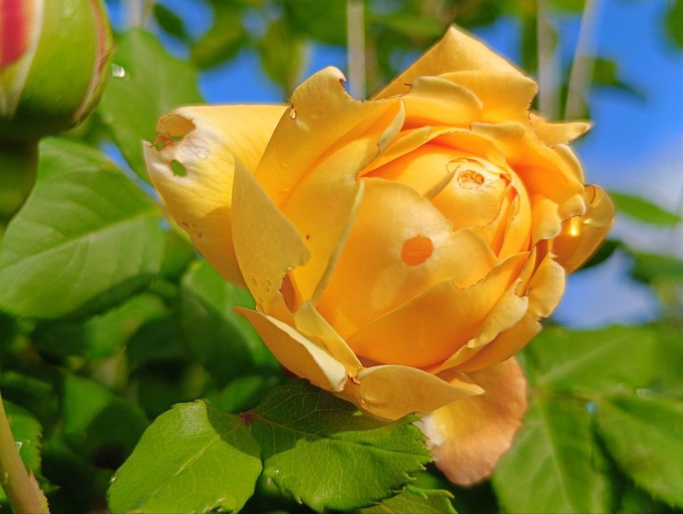 ��� �������� ��������� ����� �� ����� �� � ��, 13 ���� ��������� ���������� ����������, ��� �������