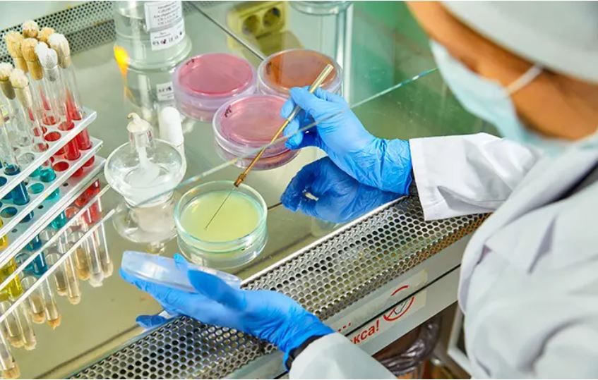 � ������ ���������������� �����������, ������������ � ���� ���������������� ������, 13 ���� � 8.00 �� 11.00 ����� ��������������� ����� ������� � ������������� �������� ���������� ������������