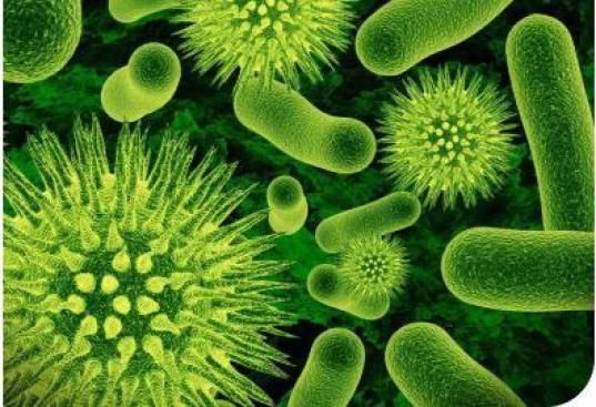 � ������������� ����������� ���� �������� ��������