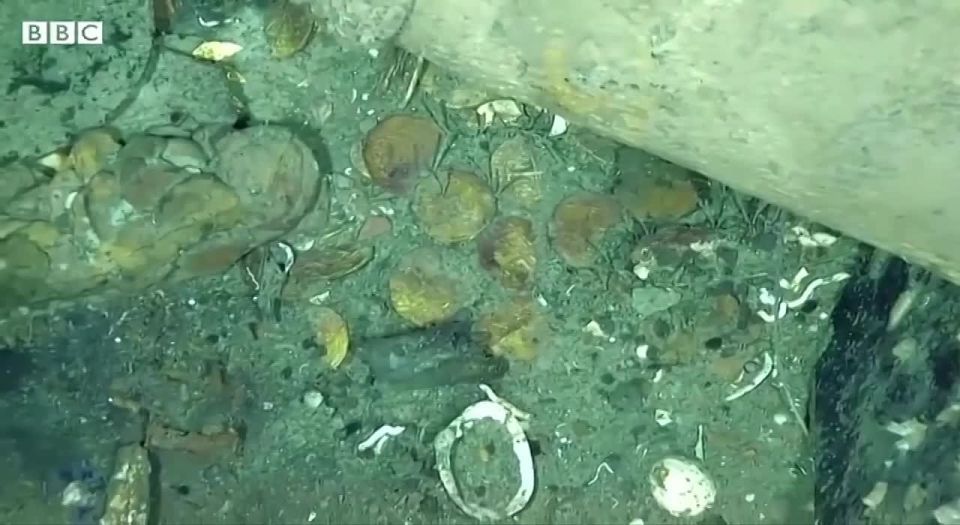 �� ��� ���������� ���� ���������� ��������� ������ ����-����, ���������� 300 ��� �����