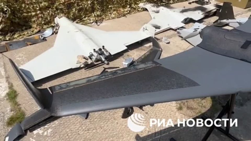 ������ ��������, ��� ������� ��������� �������� ������ ��������������� �������������, � ��������� �����