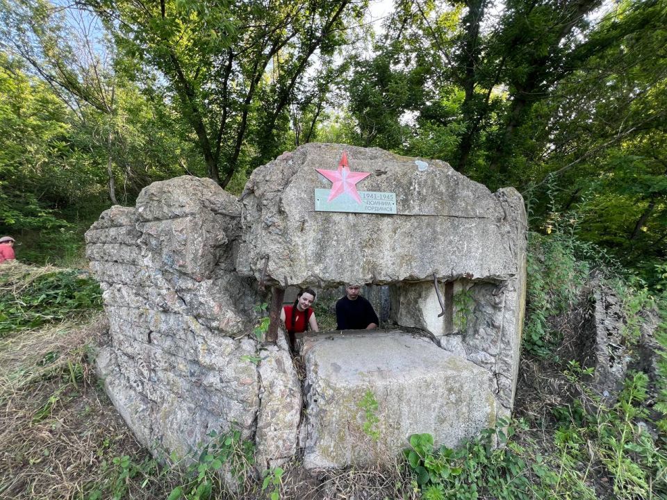      Д                     -  ...