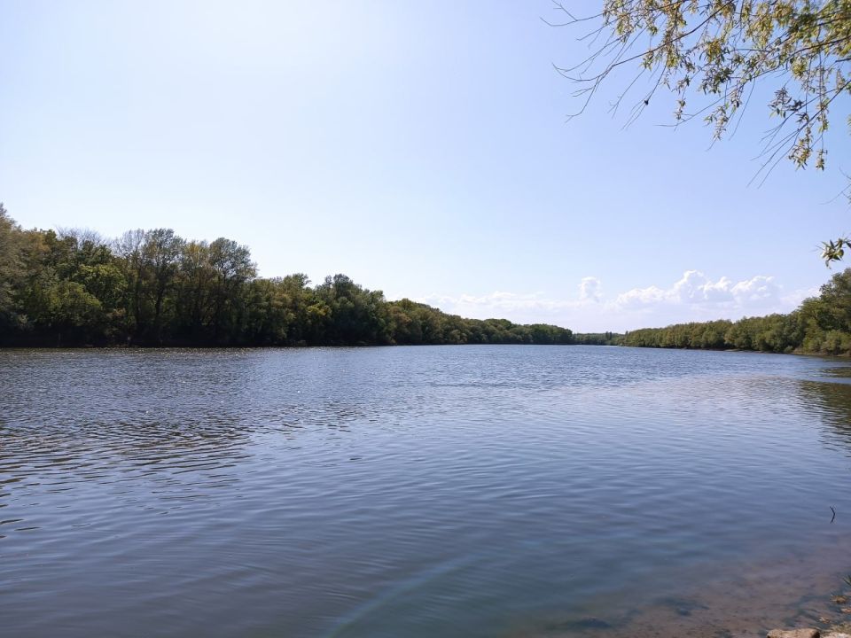 ������� ������ �� �������, 13 ����