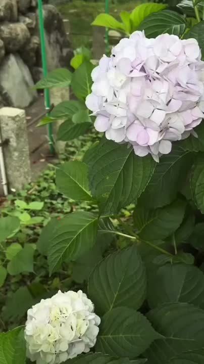 ������ �� �������