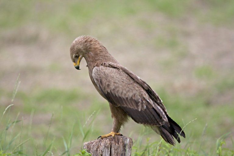 �� ���������� ������� � ������ � ���������� ����� ������������� ����� � �����