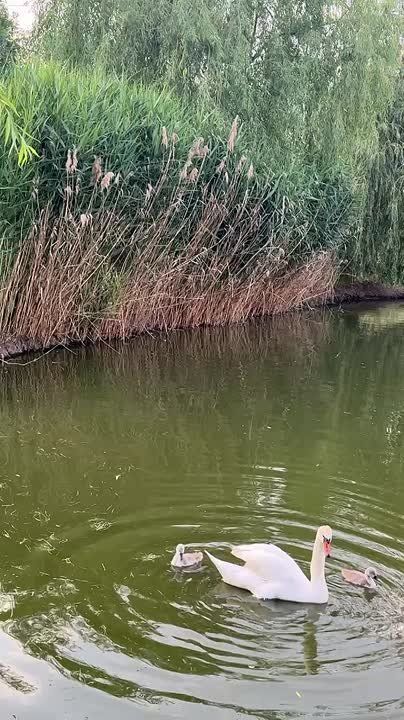 �����������, �� ����� � �������������� ����� ���� ��� ���� ����� � ��������