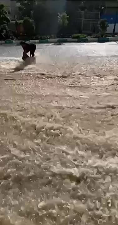 ���������� ���������� ���� �� ������������� �������� ����� ��������