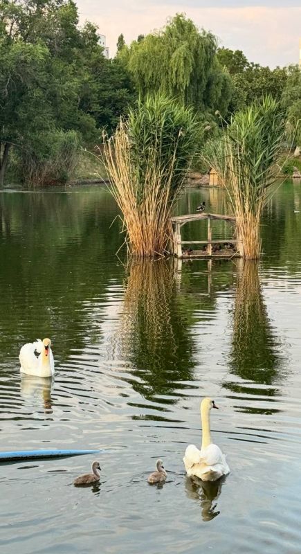 ��� �� ����� ���� �������� ��������