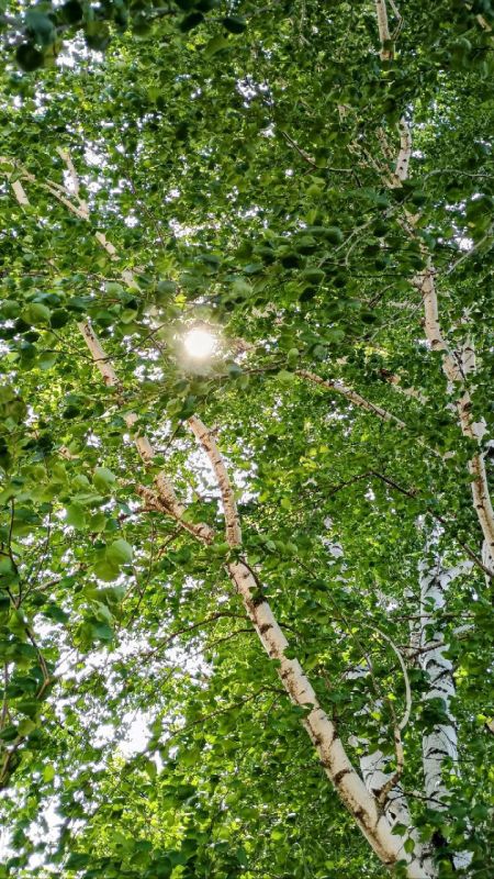 �� ��������� ������ � ���� �� +29�C