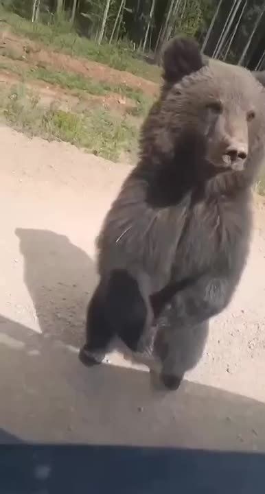 ��������� ������ ������������� ��������� � ������