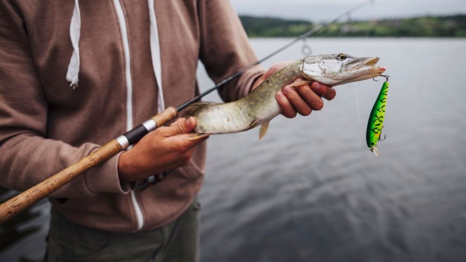 � 16 ���� � ������������� ���������� ���� ���������� ������ �� �����������