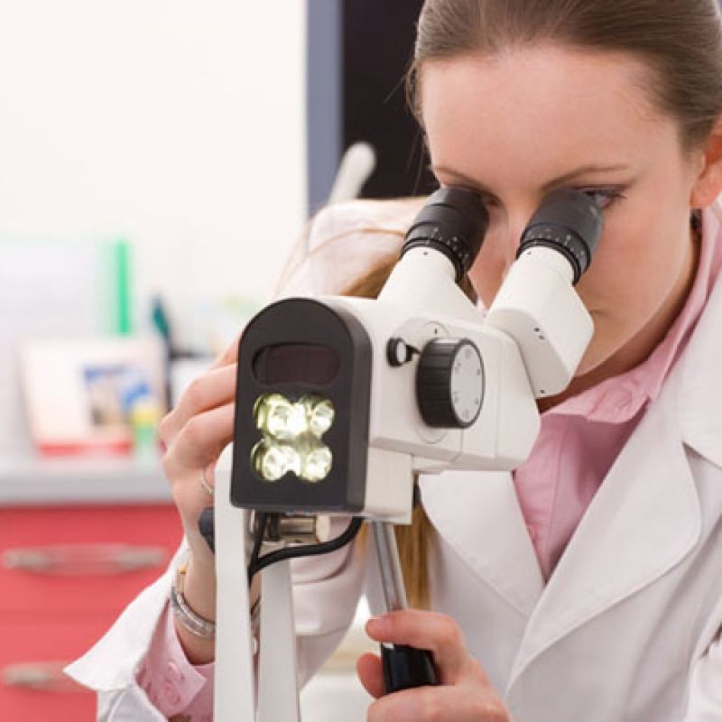 �������� ������������ ���������