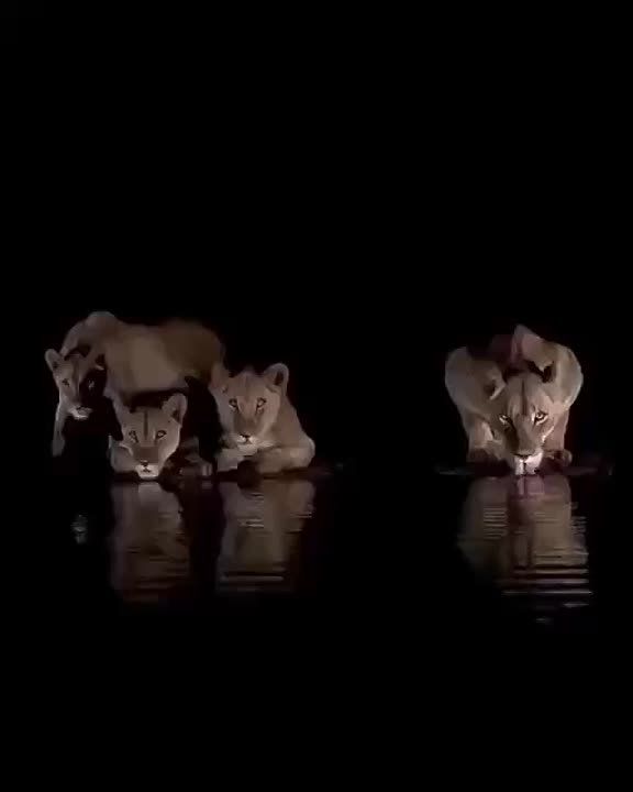 ���� ����� ������ �������� ����� ������� ����� ������