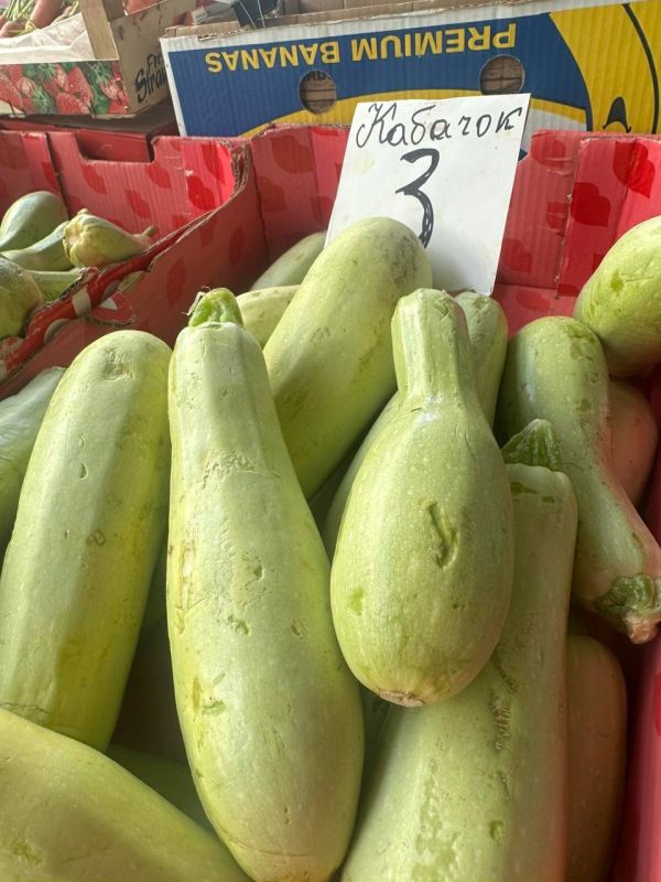 ����� ����� ����� ������� � ������������ ��� ���� �����