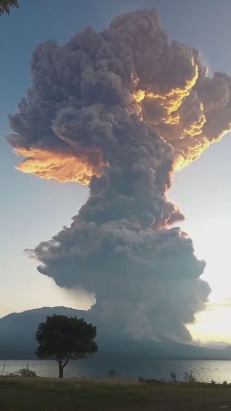 ����� ������� �������� �������������� ���������� � ��� ��������� ���������� ������� �������� � ���������