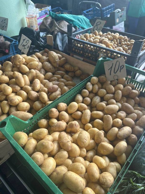 �� 8 ������ ����� ����������� ���� �� �����