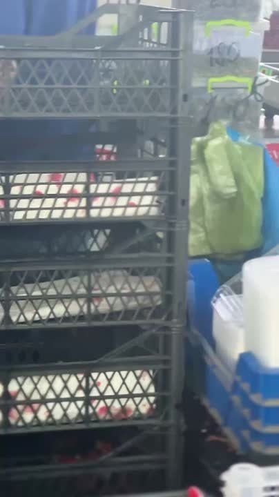 ������������� ���������� ����� �������� �� 50 ������