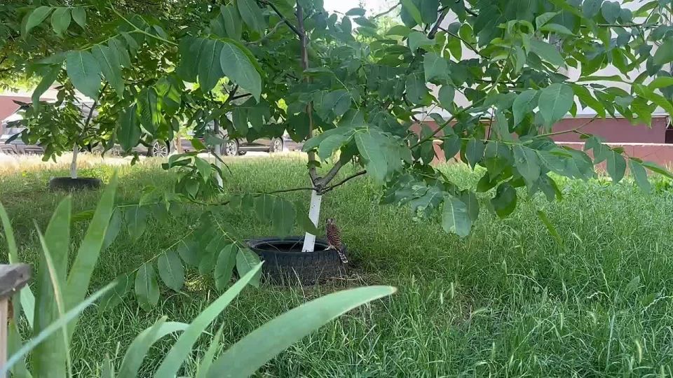 ����� �� ����� �����������