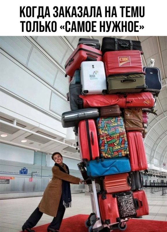 ����� ������������� ������ ���������� ������ ������� � �TEMU�, �iHerb�, �SHEIN�, �Aliexpress�