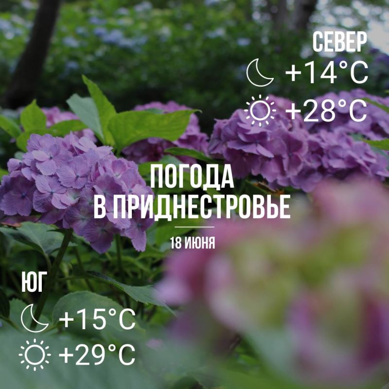 ����� ����� ����� � ��������