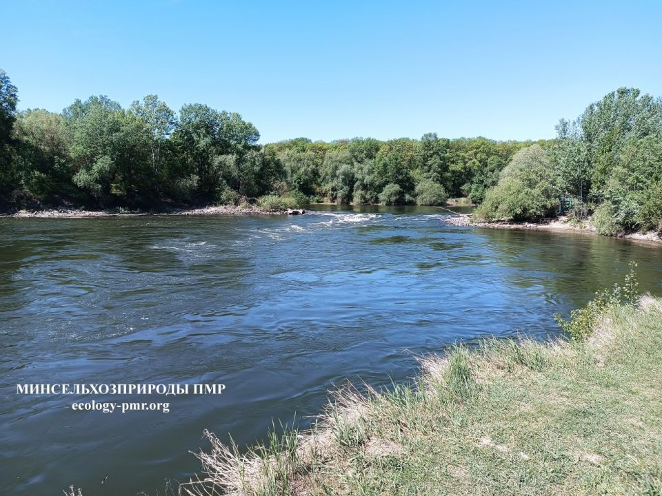 ���������� ���������� ������ �������� �������������