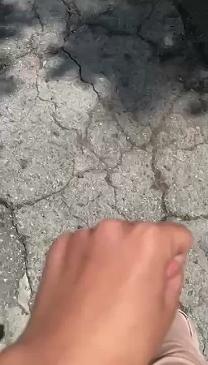 � ������ ������� ������ ������ ���� ����� �����