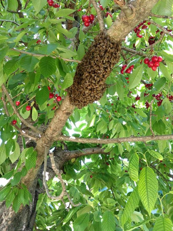 � �������� �� ������� � ������ �� ������� ������� ��� ������ ���� ���� �������� ���