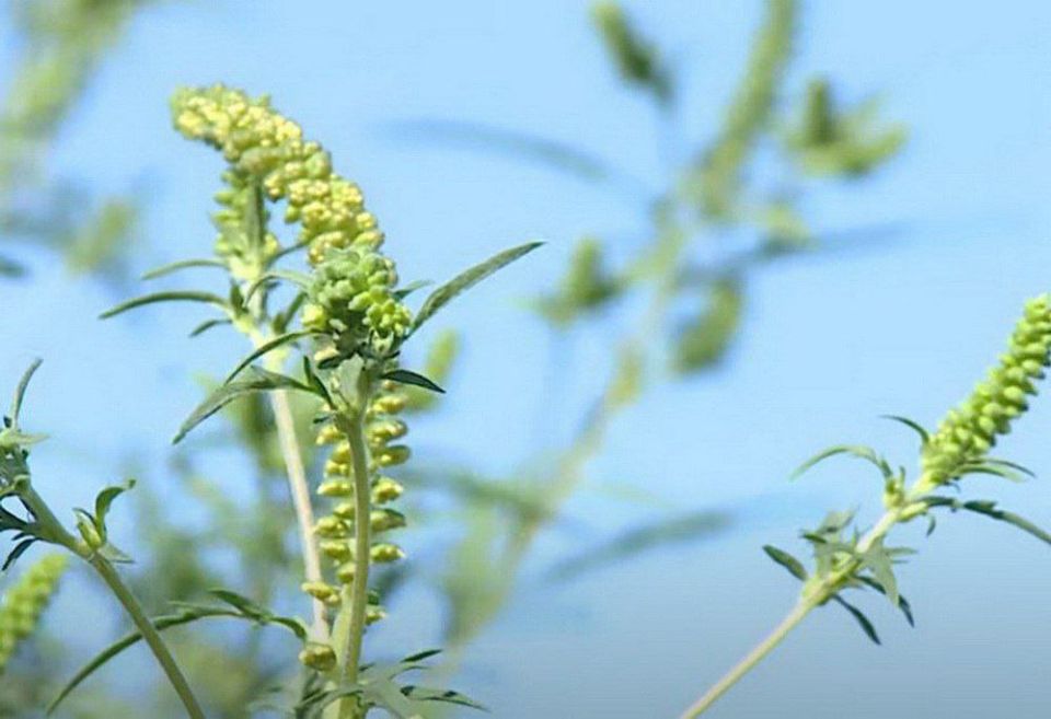 ������������� ����������������� ���������� ������ � ���������