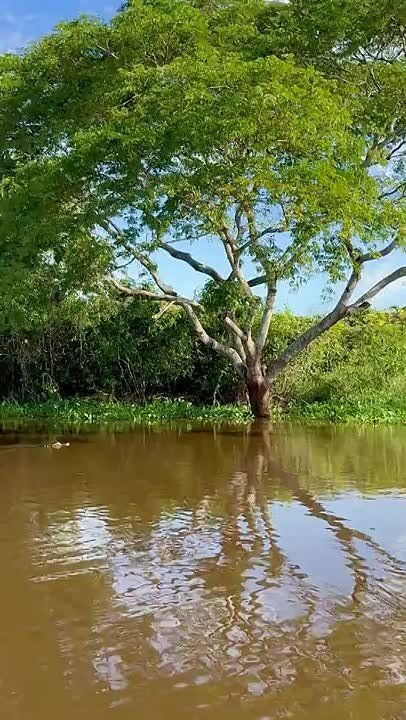 ������� ������� ������ � ����������� ������� � ����������� �������� � ��� ����������� ����� ����� ���������