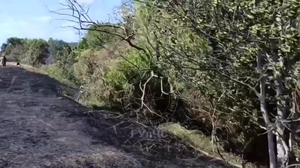 � �������� ������ ����� �����