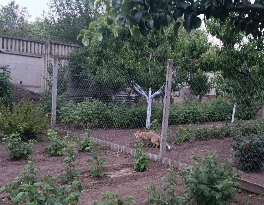 � �������� ������ ��� �������� �����