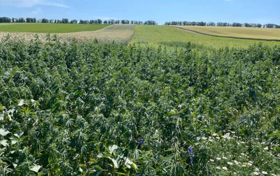 � ������� ������ ����� ������� 5 ����� ������ ������� � ���� ��� � ������