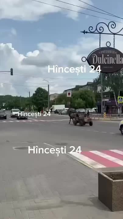 ���������� ����������� ����������� ���� � �������