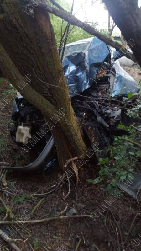 В Днестровске «Тойота» съехала с дороги и врезалась в дерево