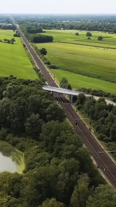 ������ �� �������