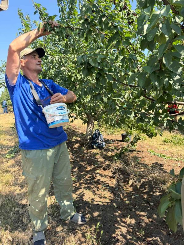 �������� ��� � �������� ������ �� 40 ������ �� ����� �����