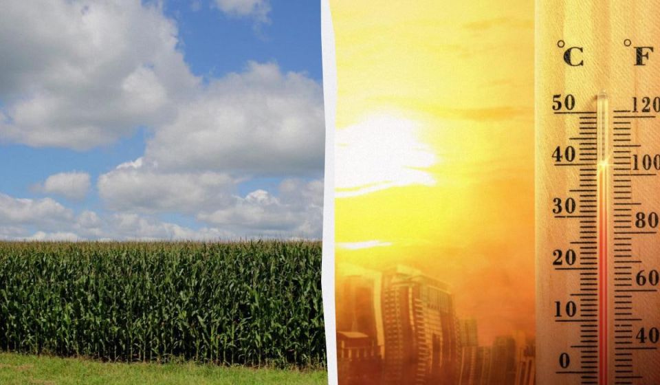 ���� �� ����� ������ ��� ������� ��-�� ���������� ������� �������, ������� �������� �������� ��������� ������� ������� � ������ � � ������ ������ ������ ������ � ��������, ��� ��� ���������� ������������� ������