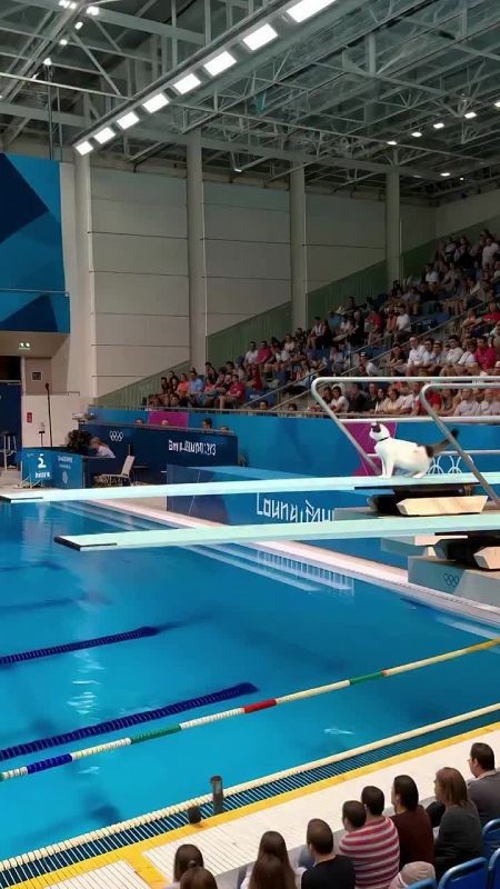 �������� ����������� ���� ����� ����� � ��� ������ ������������ �� ������� � ����