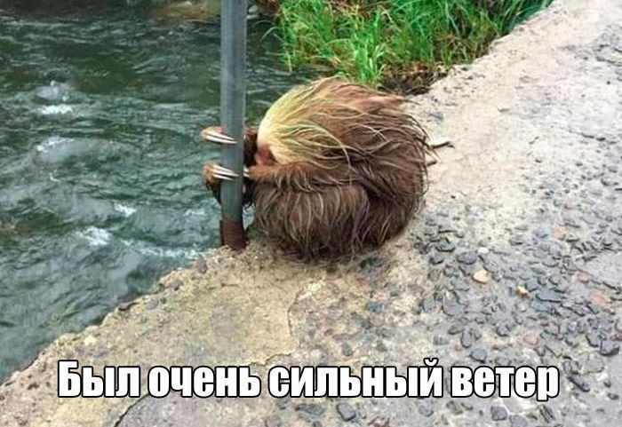 ��������� ��������������. ������� � ������������� ������� ��������� ������� ����� � �� 15 �/�, �������� �������������