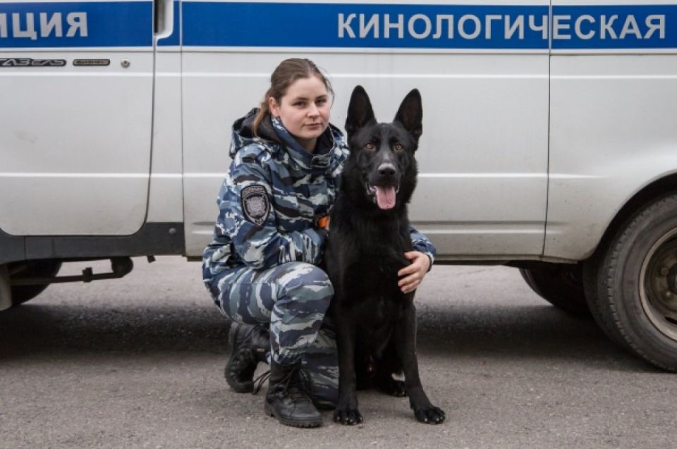 ����, ������� � ���������. ������� ���� �������� ��� ���