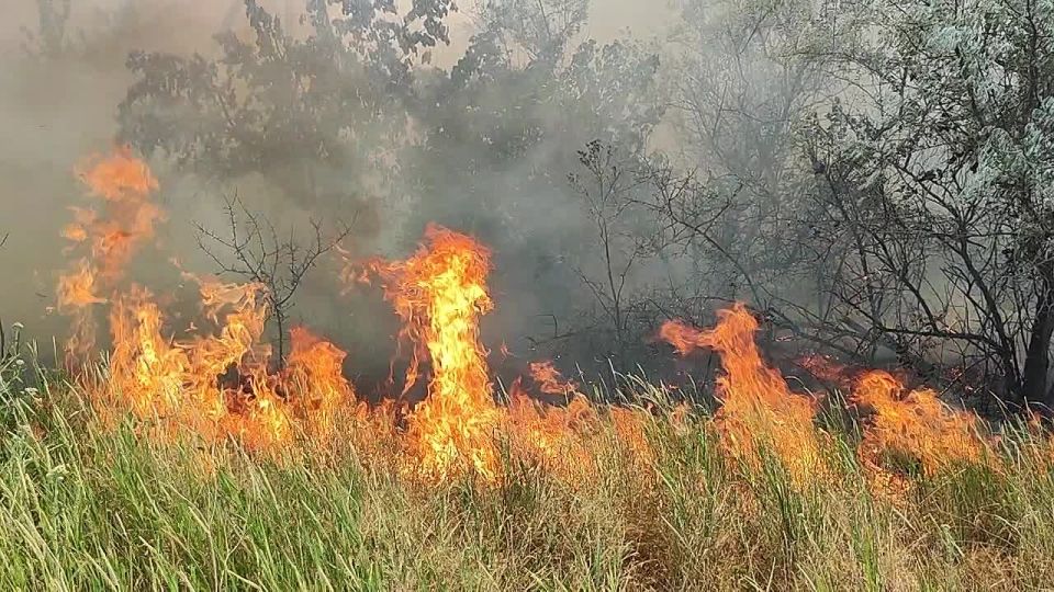 � ��������� ��� �������� ������� ����� ����� �� �����������