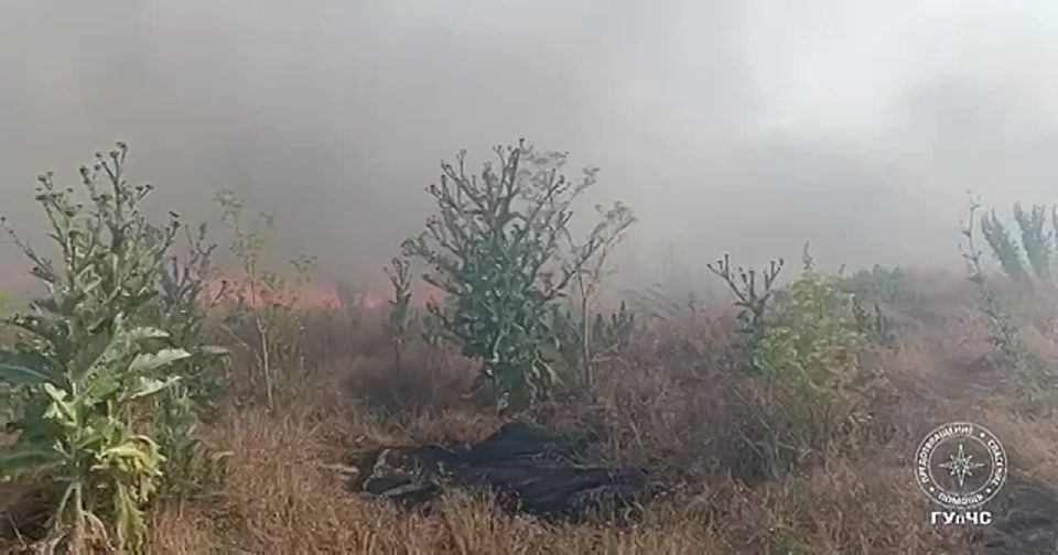 ��� �������� ������ ����� ������ ����� ����� ����� � ��������� �� ����� �����������