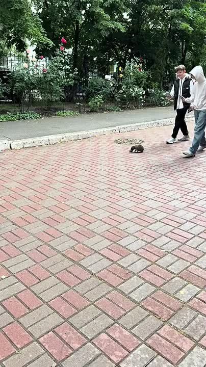 ��������� ����� �������� �����