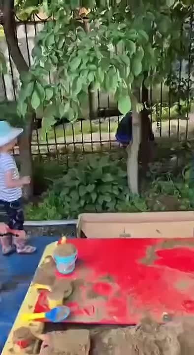 �� ������������ ��������������� �������� ���� �������� �������� ������������, ��������� ������� ����� � ������� ����������