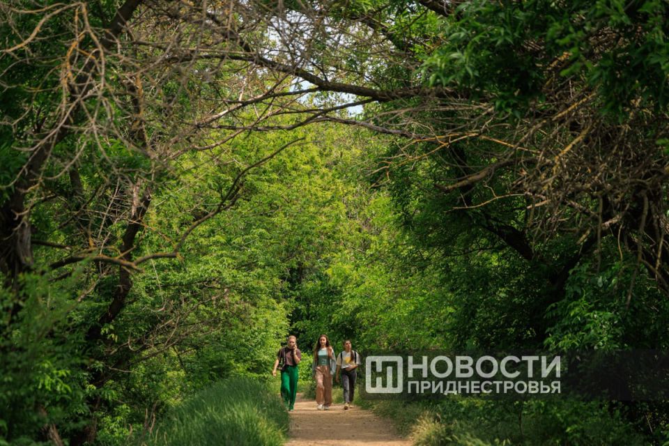 �������� �� �������������� �������� ���� � ��� ������