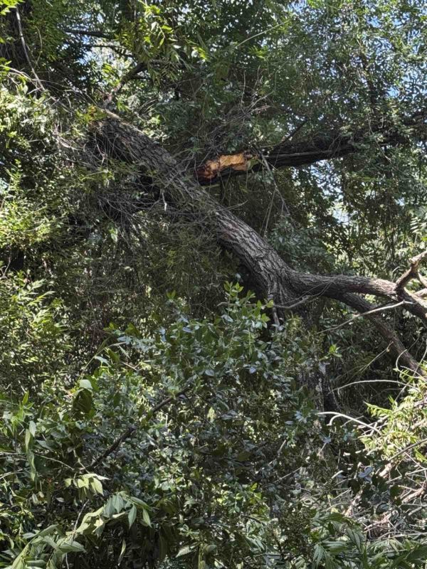 ����� ��-�� ����� � ����� � �������� ������� ������ ����������� ��������� � ���� �� �������� �����, ������� � ��� ����� ������ ��� ��� �������