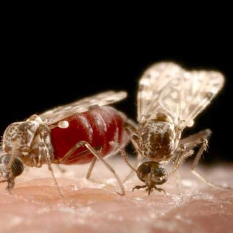 � �������������, ����� ������� �������� ��� ���� �������� ���������� ���� � �������